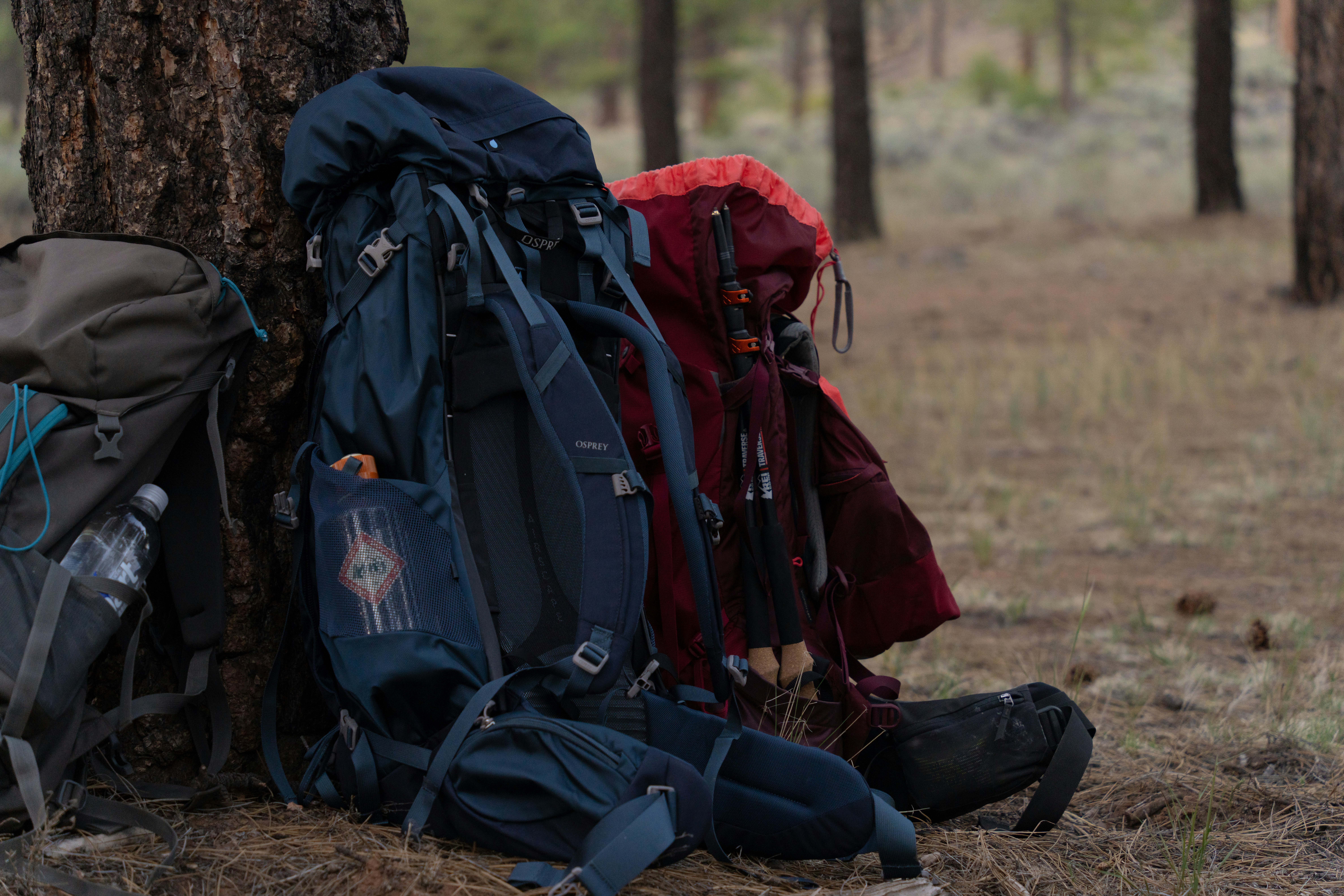 Sac de backpacker